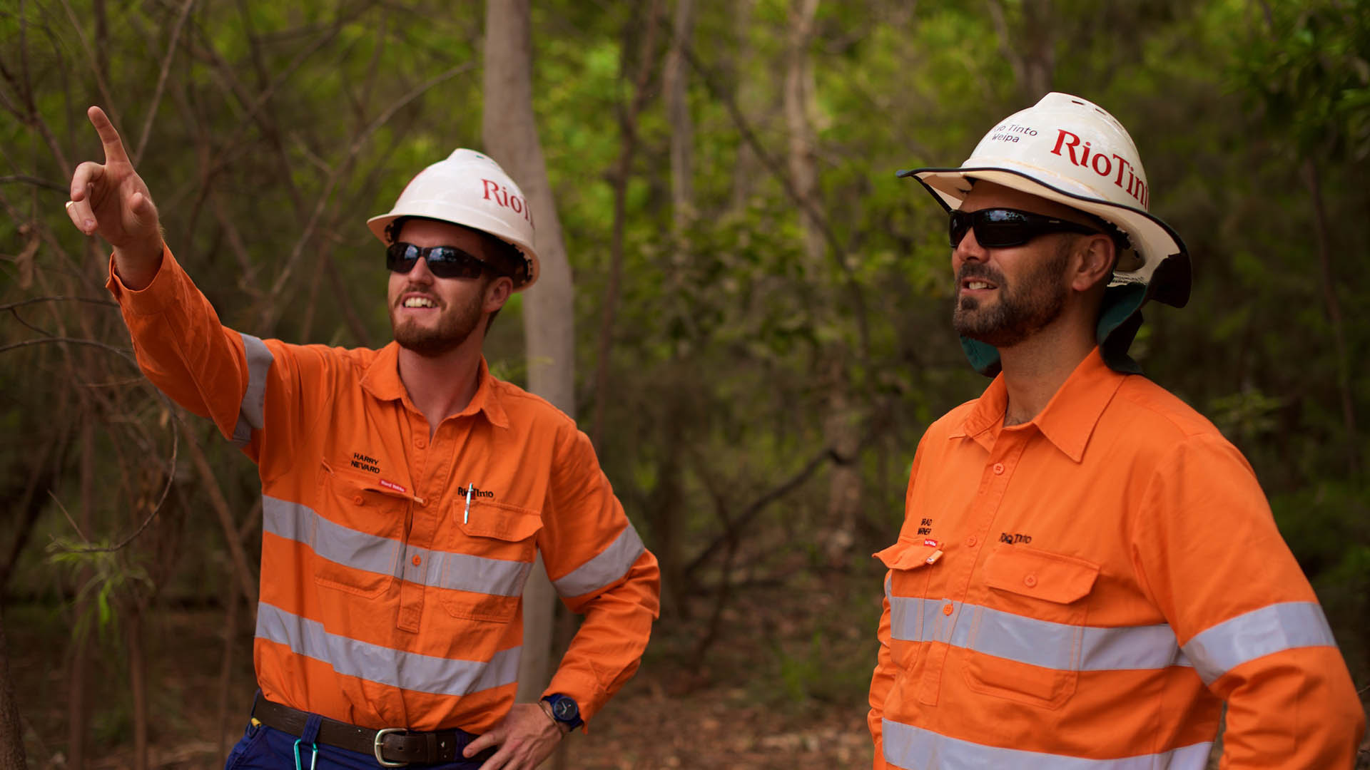 Harry and Brad, Weipa