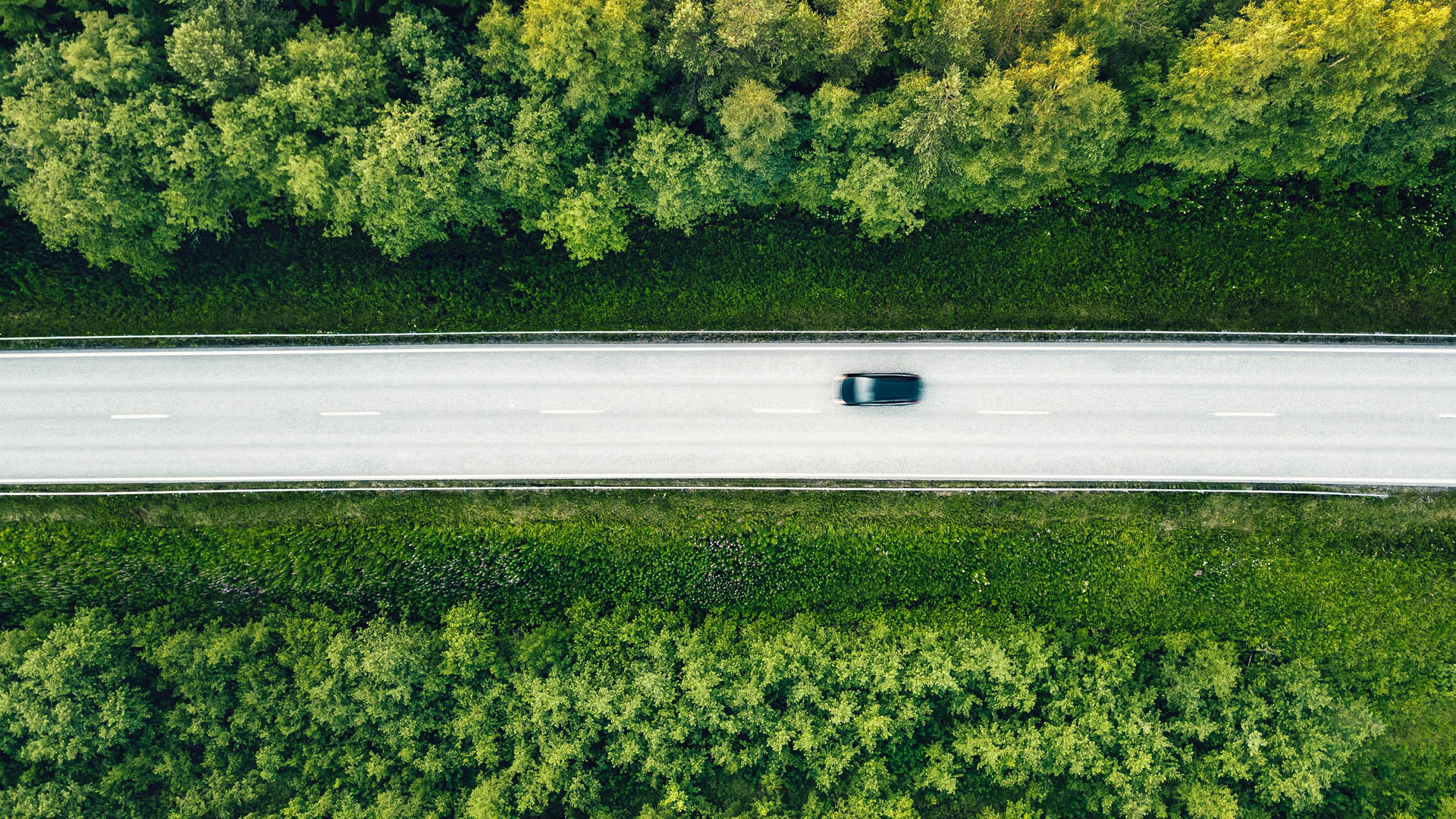 Road cutting through forest