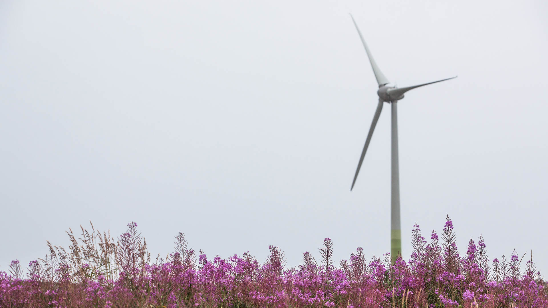 Wind turbine