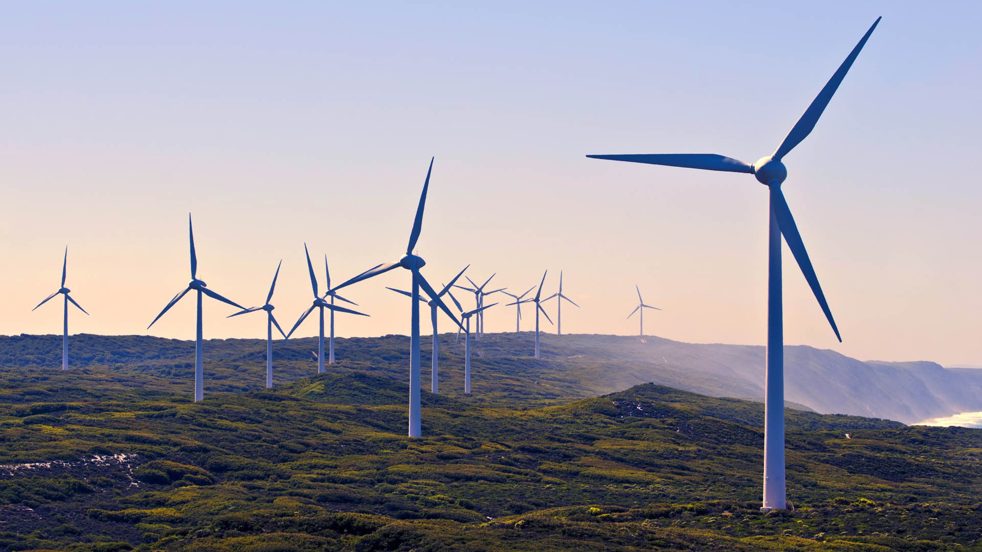 Low-carbon windfarm