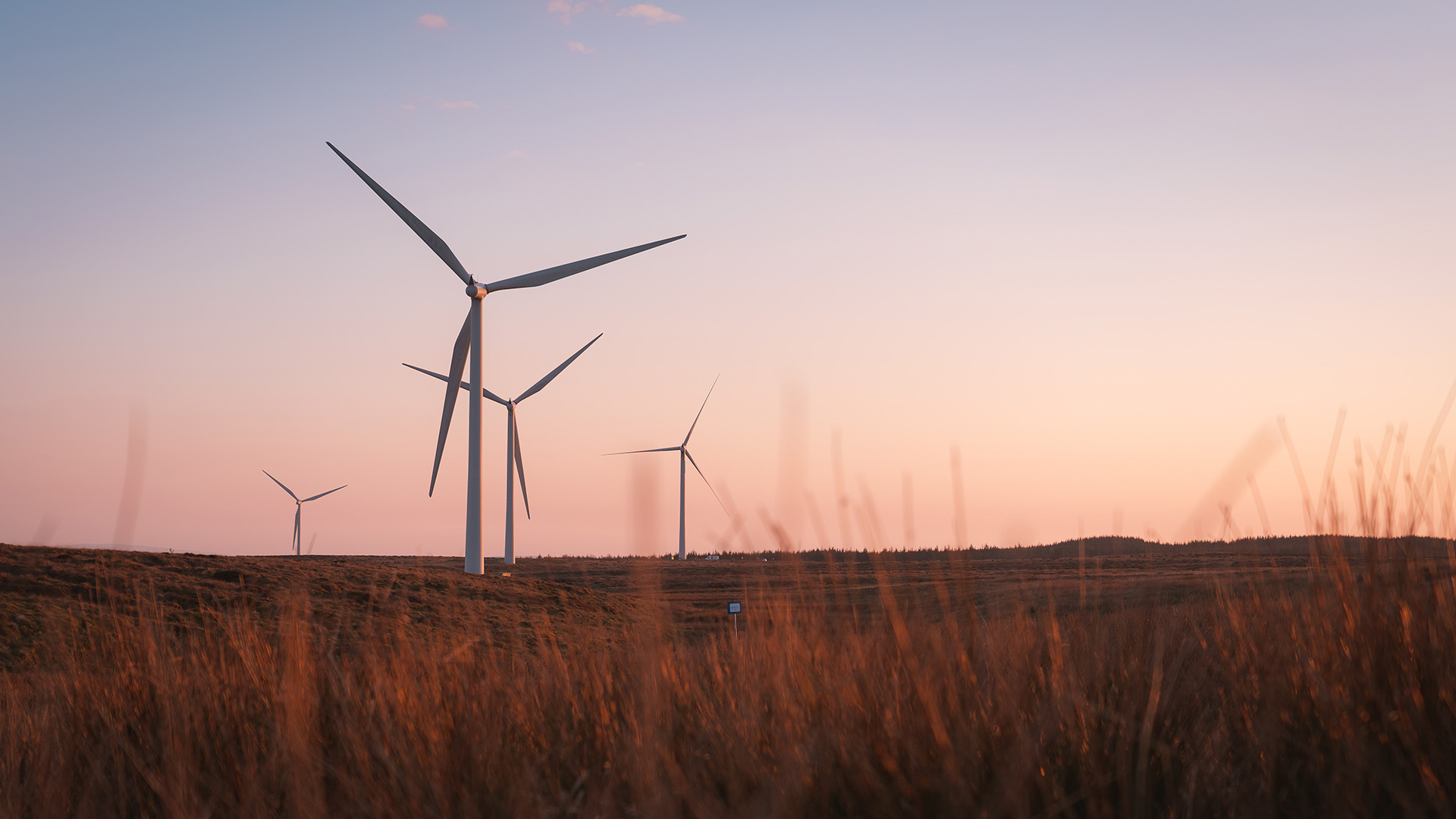 wind turbine