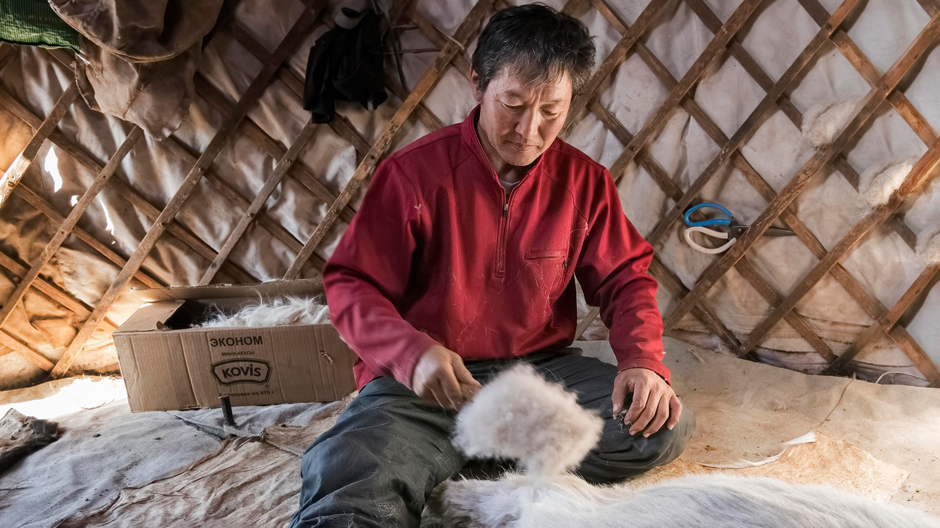 Herder combing, Mongolia