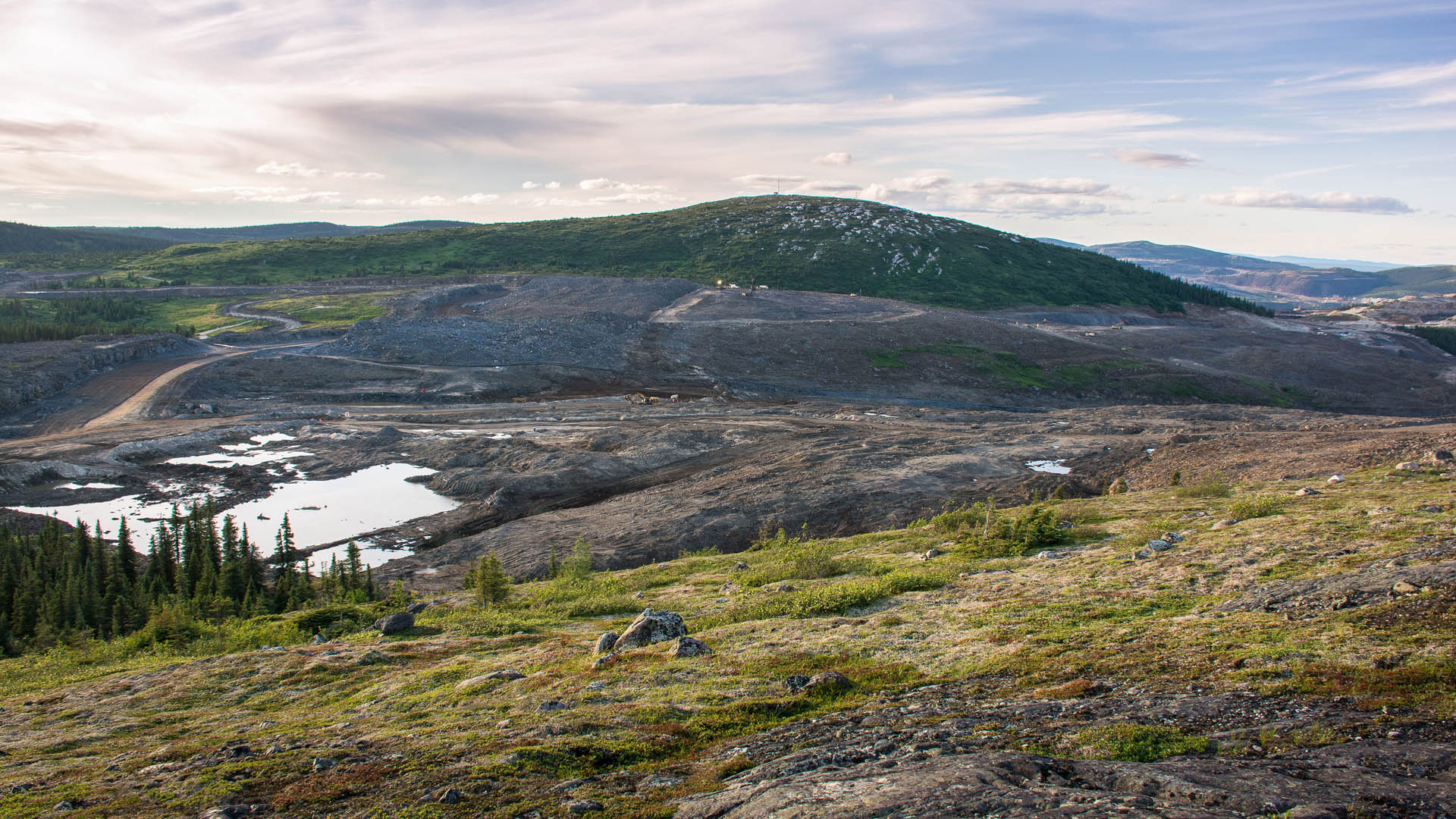 Moss pit at IOC