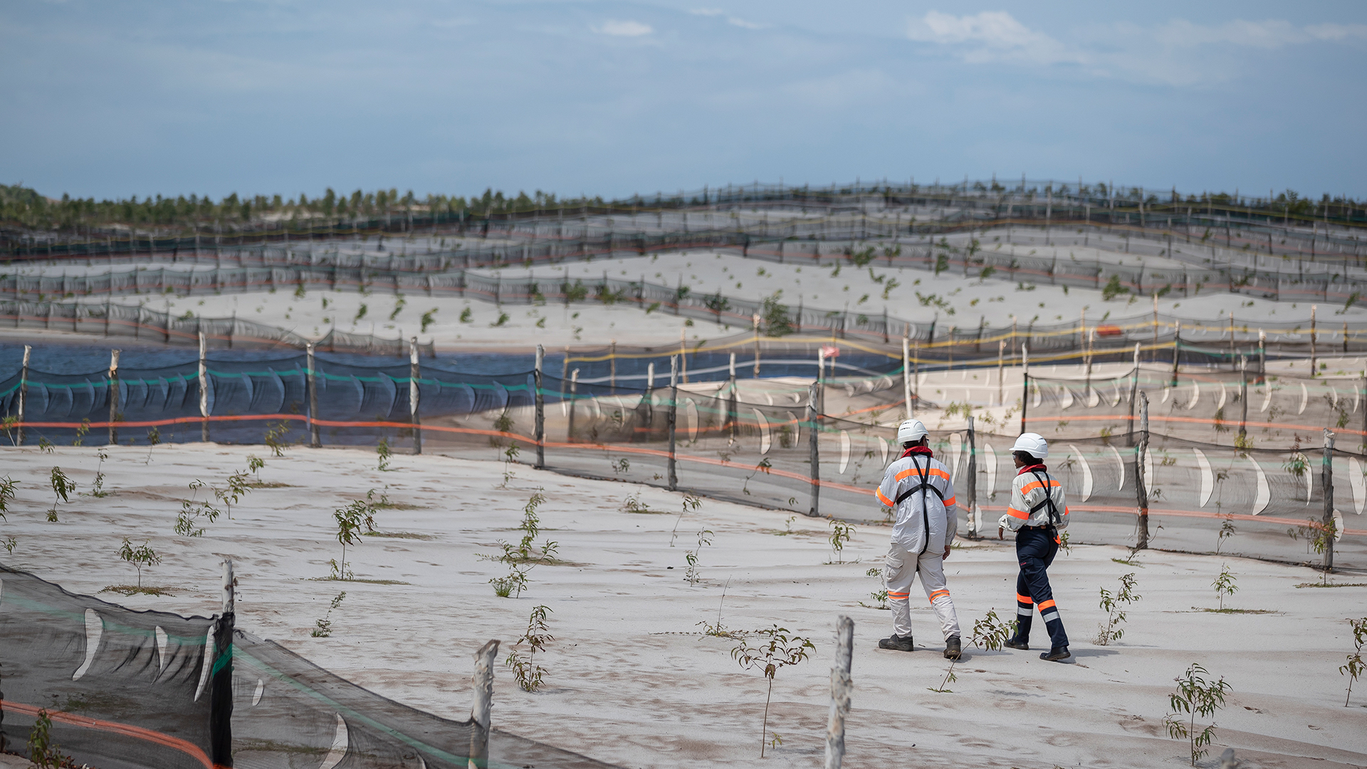 Land restoration at QMM