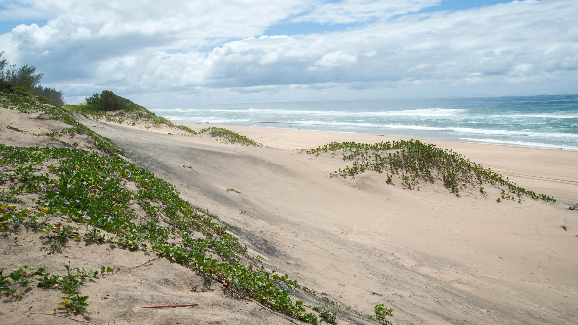 Beach, South Africa operations