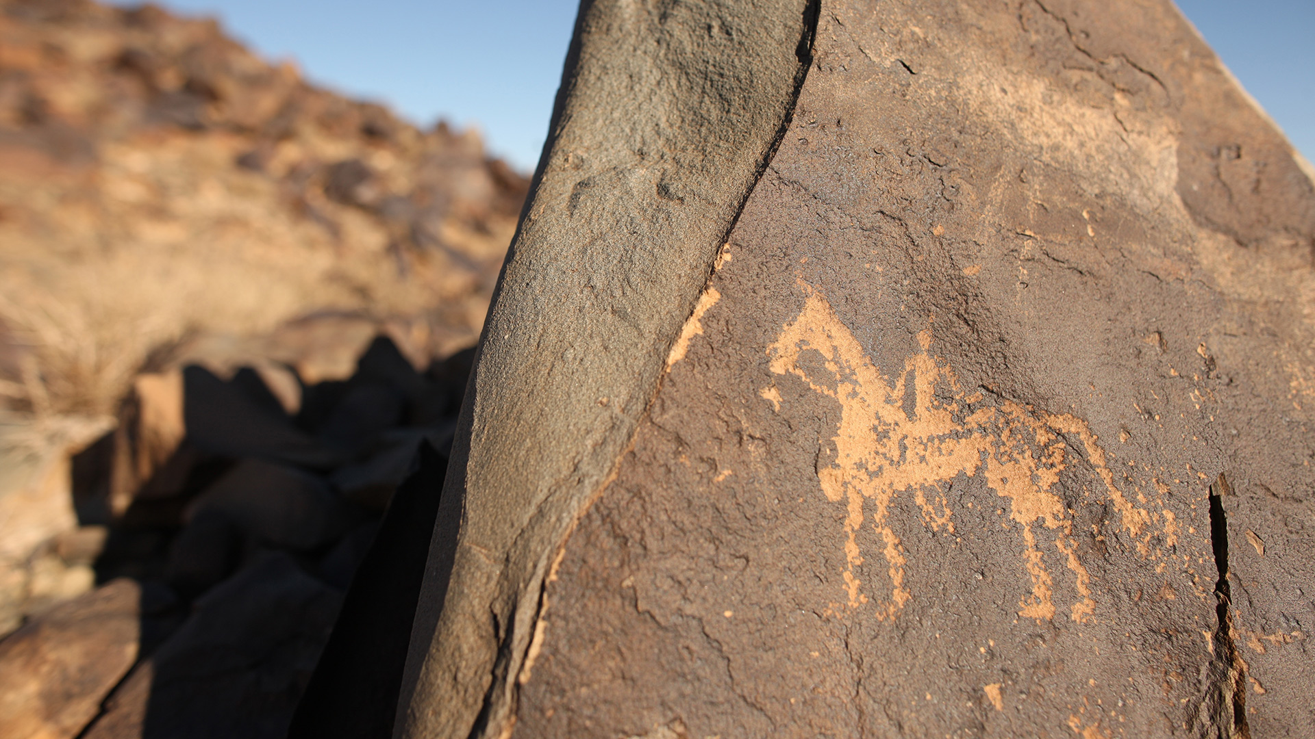 Ancient petroglyphs from Javkhlant rock