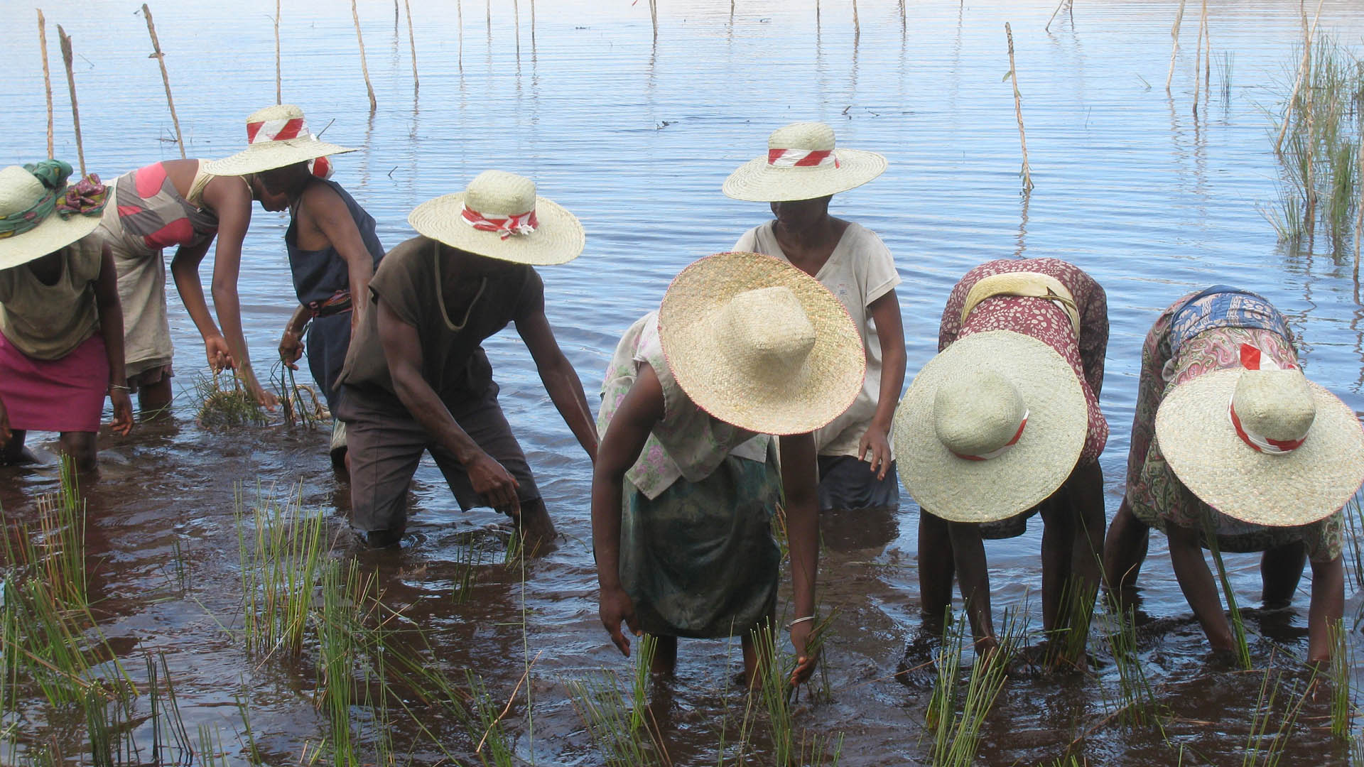 Local people rebuilding the wetlands