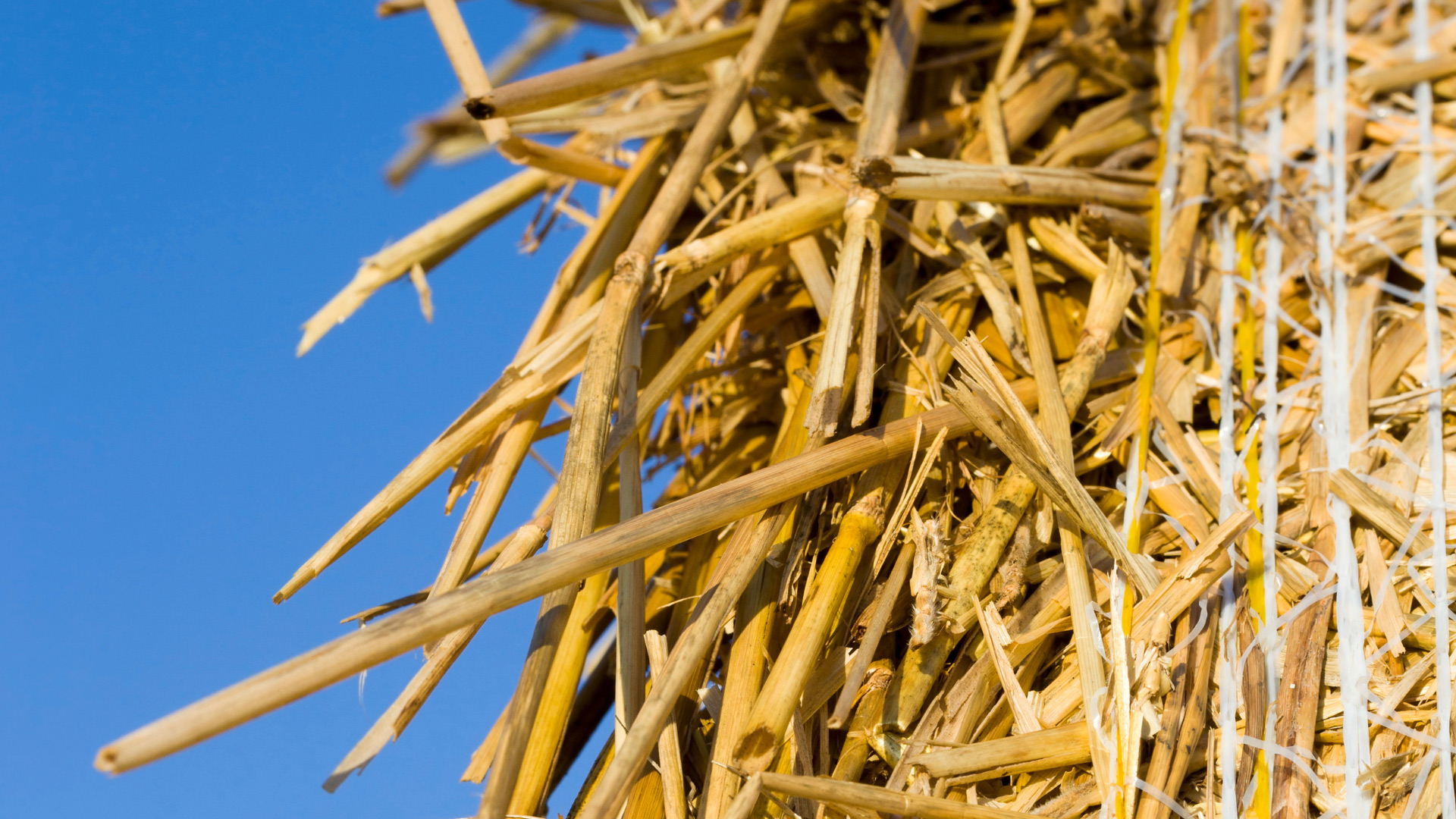 Straw biomass