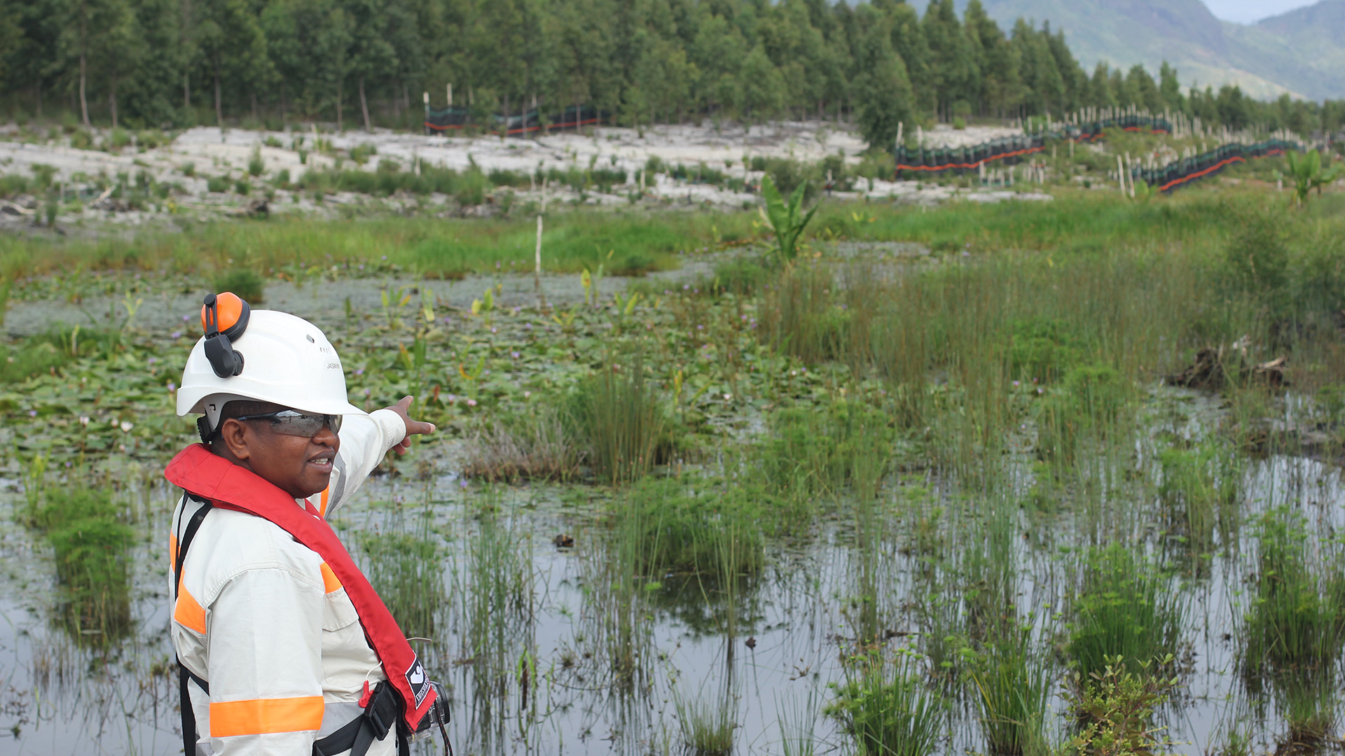 Wetlands, QMM operations, Madagascar