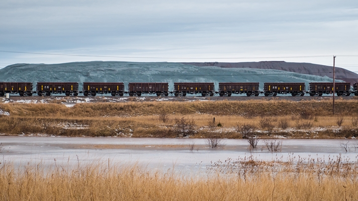 Train running past meadow