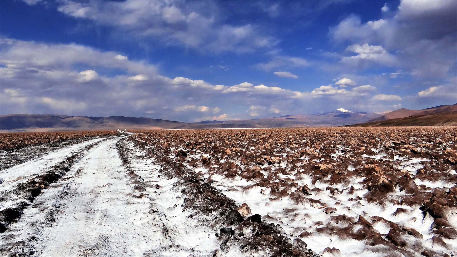 Rincon Project, Argentina