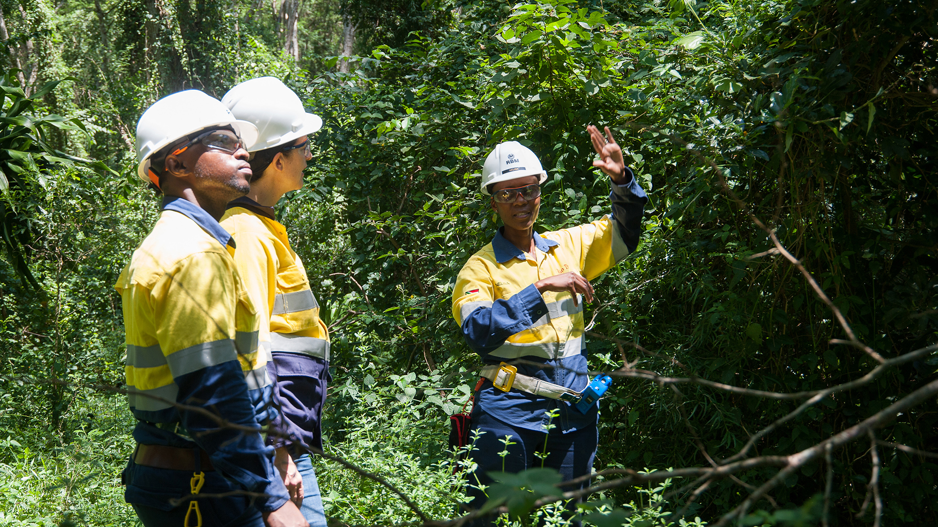 Rehabilitation at Richards Bay Minerals